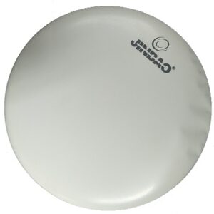 Drum Head